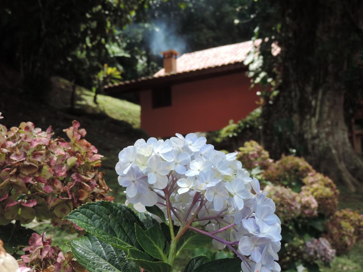 Chalé Truta da Floresta Visconde De Maua Esterno foto
