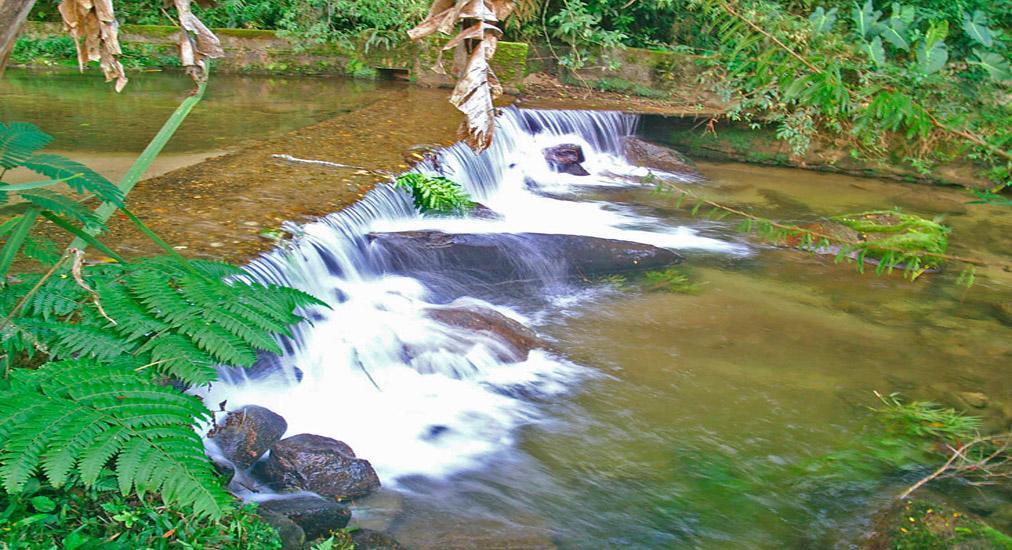 Chalé Truta da Floresta Visconde De Maua Esterno foto