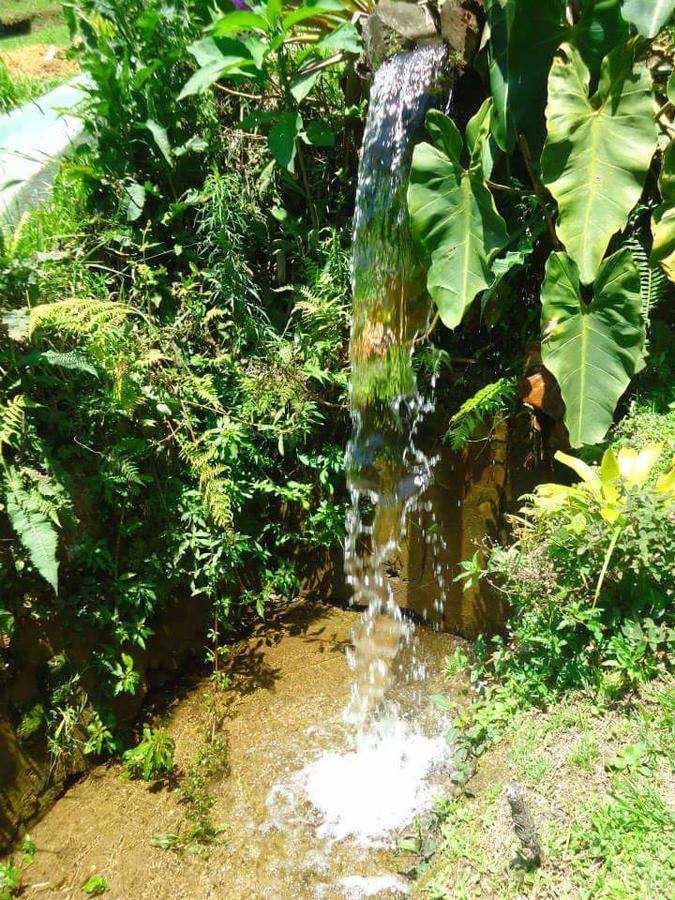 Chalé Truta da Floresta Visconde De Maua Esterno foto